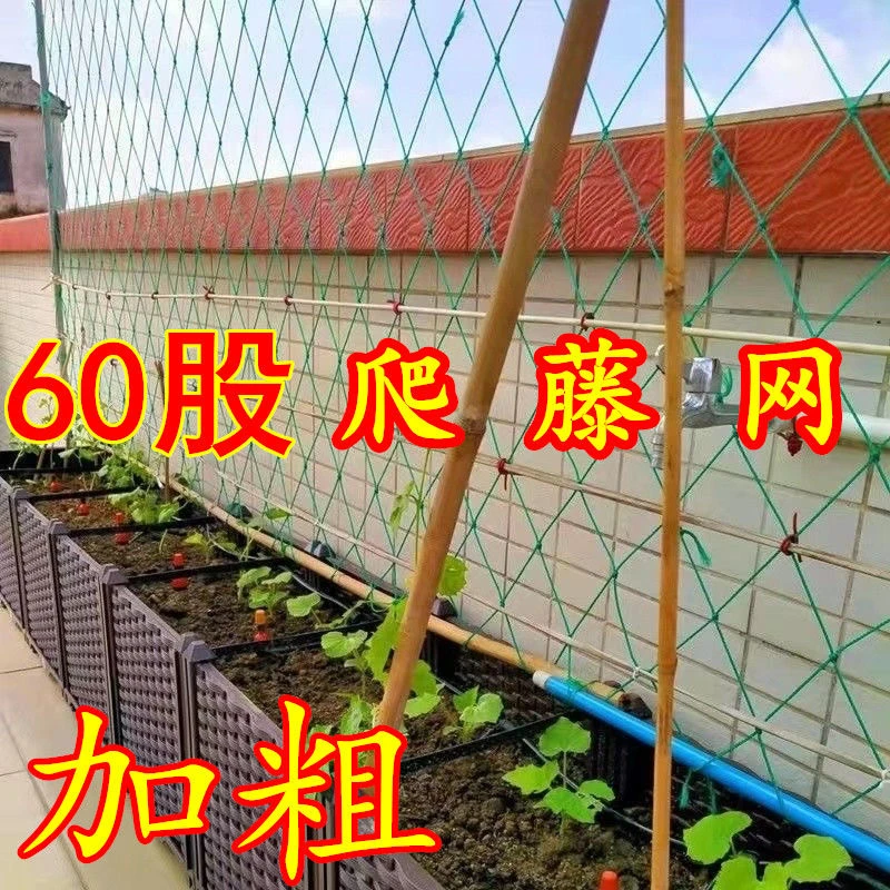 瓜果种植爬藤网绿植园艺用品庭院种植辅助介质园艺工具大鹏防护网