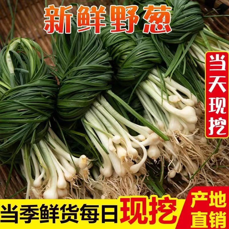 贵州新鲜小野葱山区自然生长苦蒜薤白小根葱山蒜现挖现发包邮