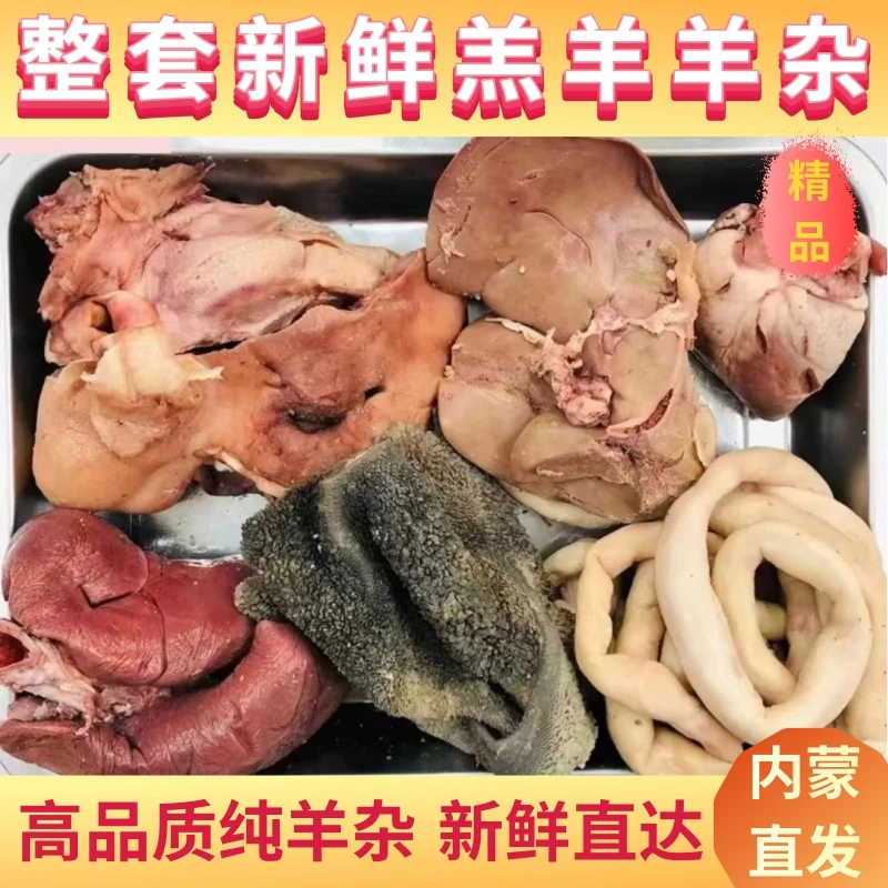 【大头专属】内蒙羊杂整套羊杂碎羊头批发新鲜羊肠羊肚火锅食材