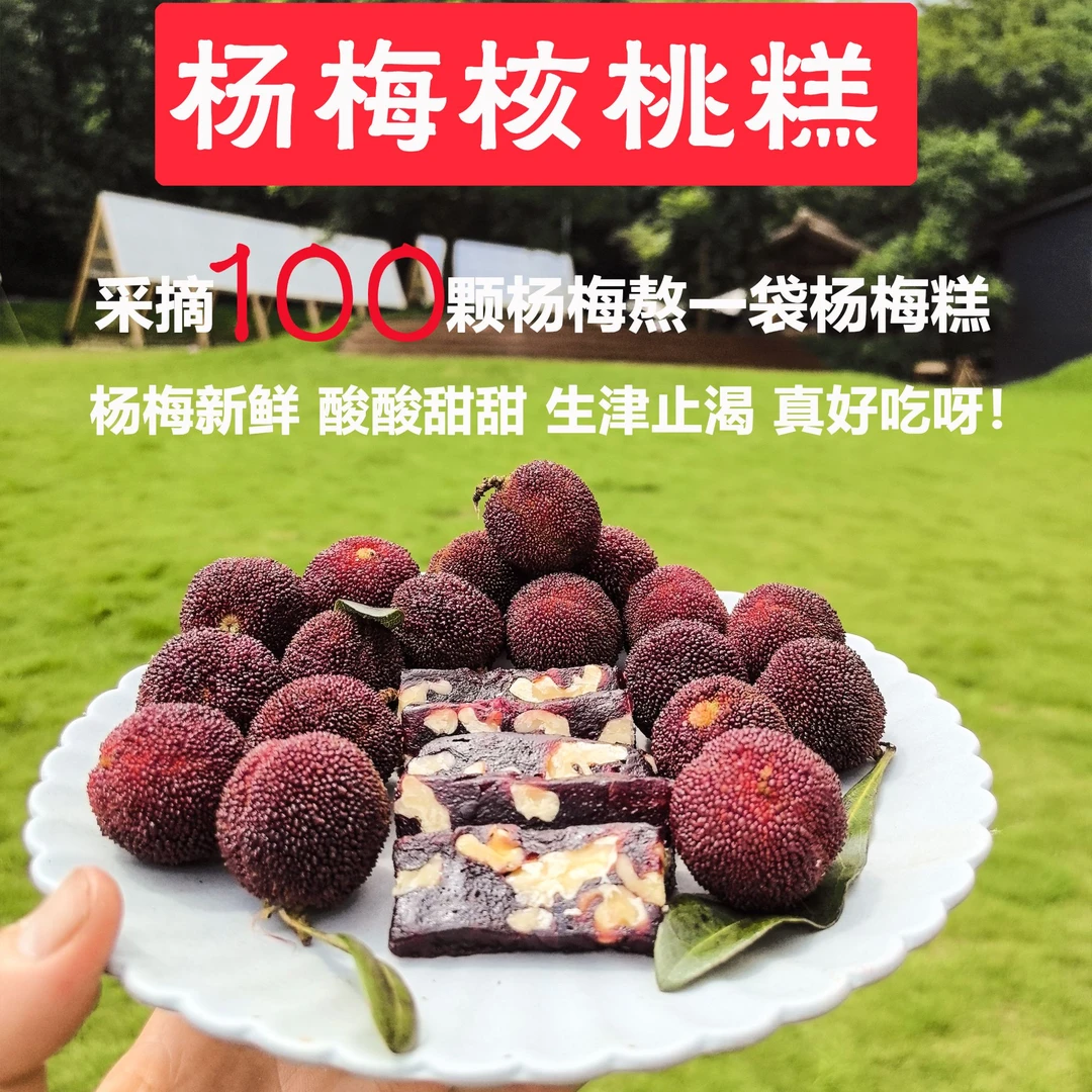 宽心纪赖老师甄选杨梅核桃糕240g装