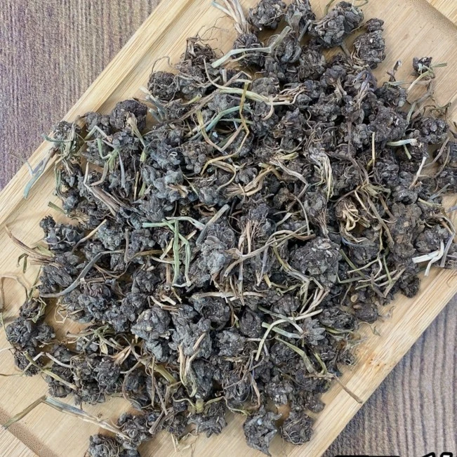 W【莹莹精选】大自然猫爪猫猫草 100g/250g（菜菜）