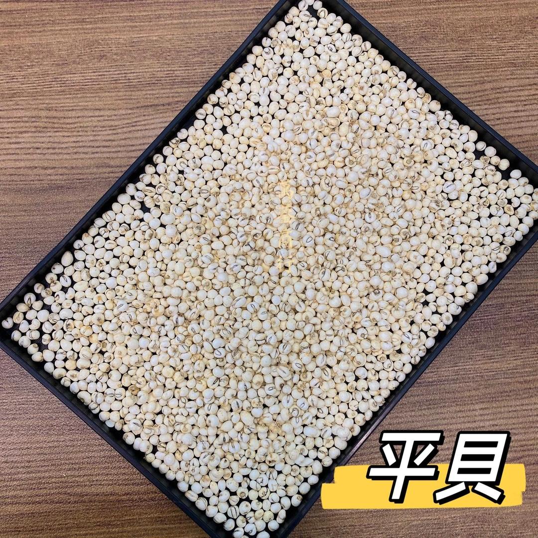 W【莹莹精选】025平贝贝母干瓜  对kk好好