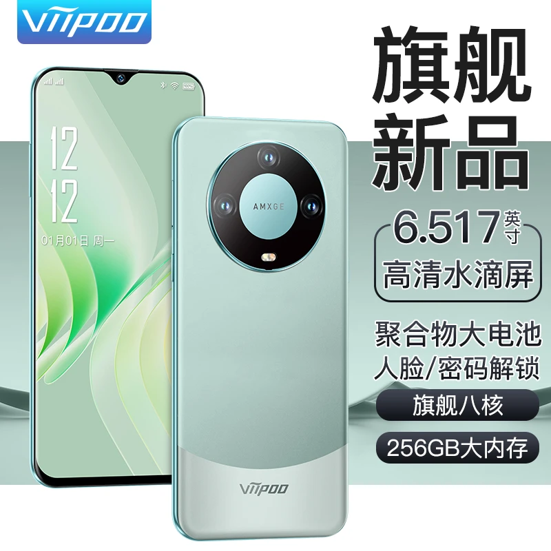 【全新未拆封】viipoo官方正品256GB内存全网通6.5英寸双卡双待手机