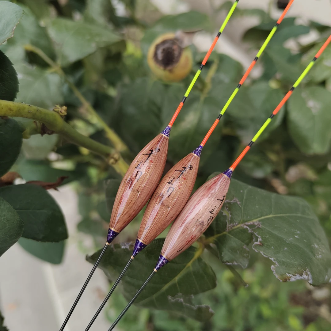 25公分  浅水鲫鱼带壳芦苇浮漂