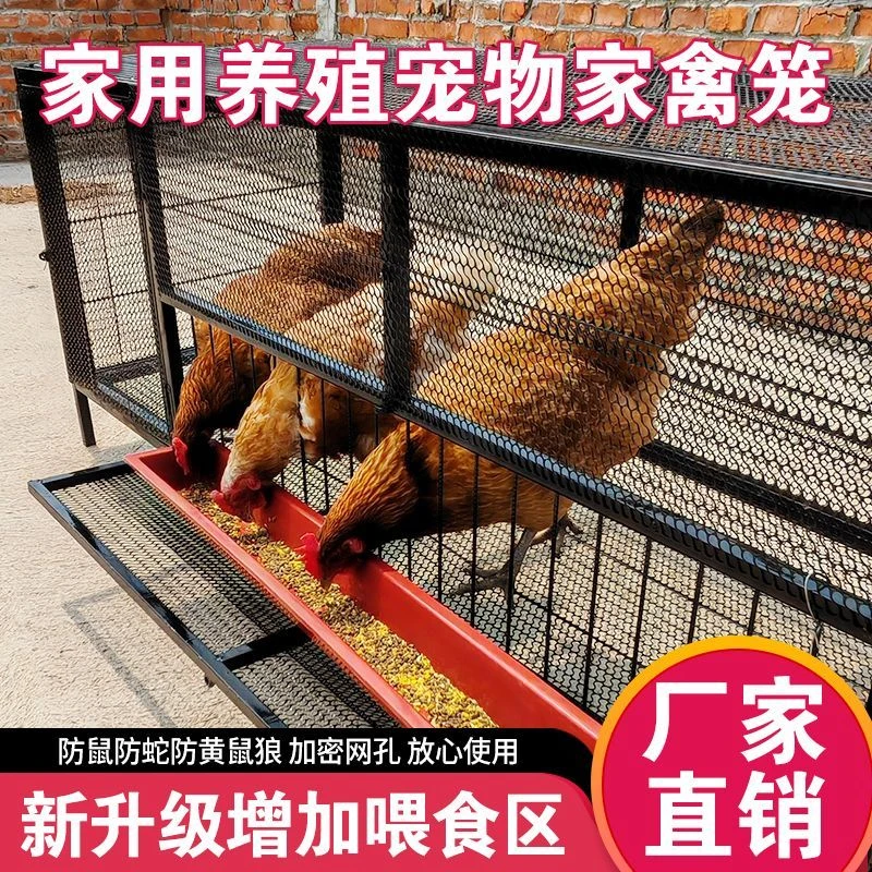 直销鸡笼鸡笼子黄鼠狼家用加厚大号养鸡工具清仓养鸡养鸡专用笼子