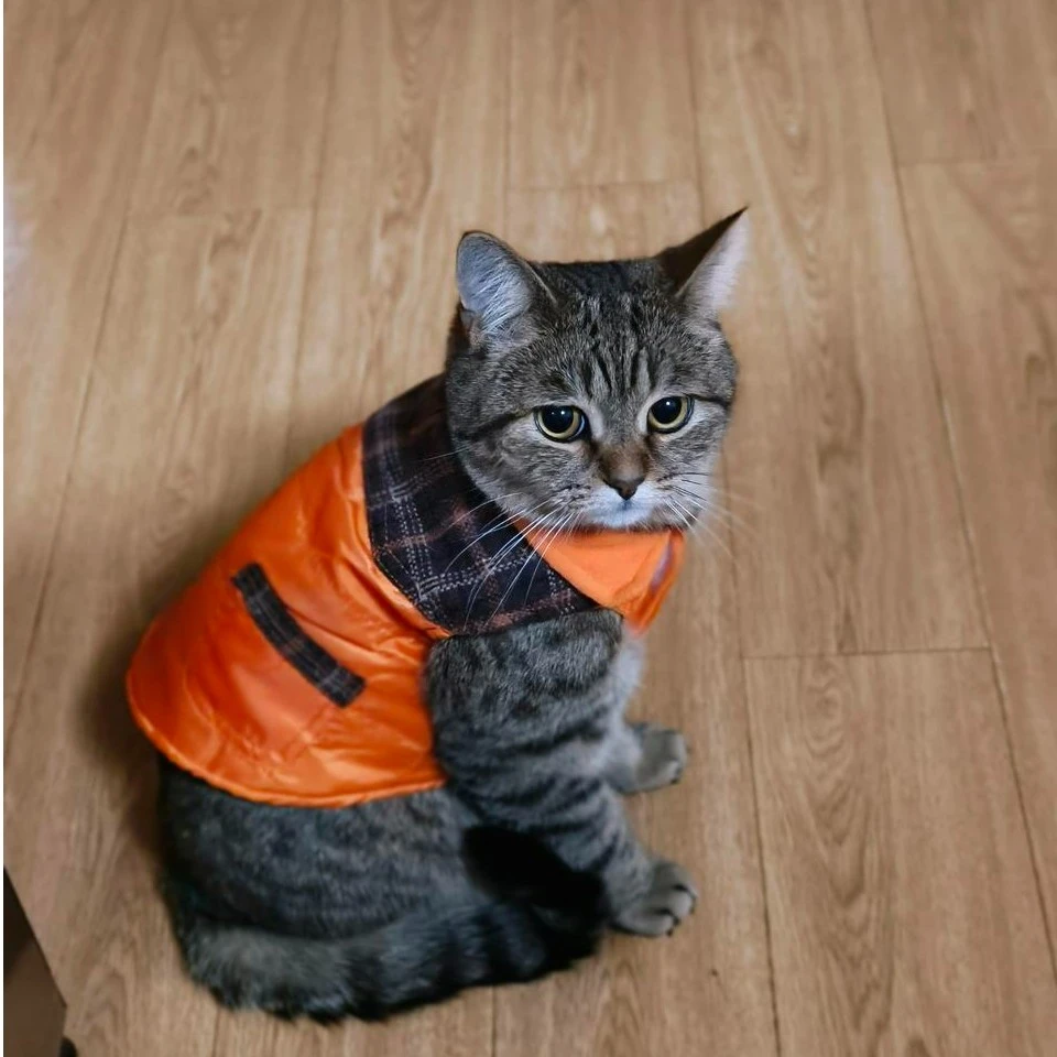 P201 摇粒绒 可爱造型宠物衣 猫猫狗狗都实用