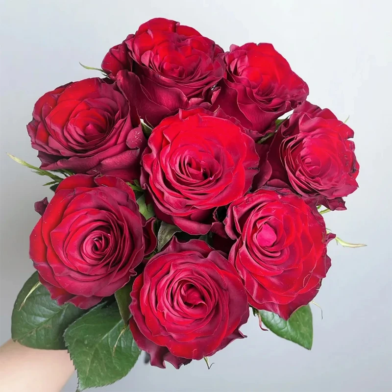 【高原红】云南基地鲜花各种单头、多头玫瑰、草花、百合各种搭配