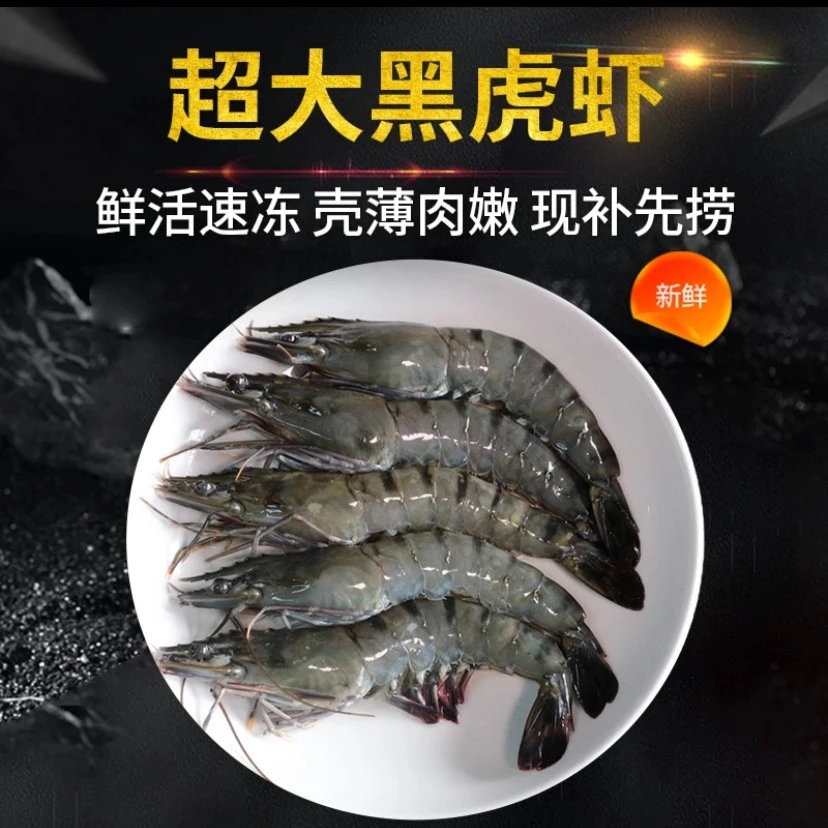 福建东山岛黑虎虾海水养殖大规格活冻金刚虾原厂地顺丰包邮3斤