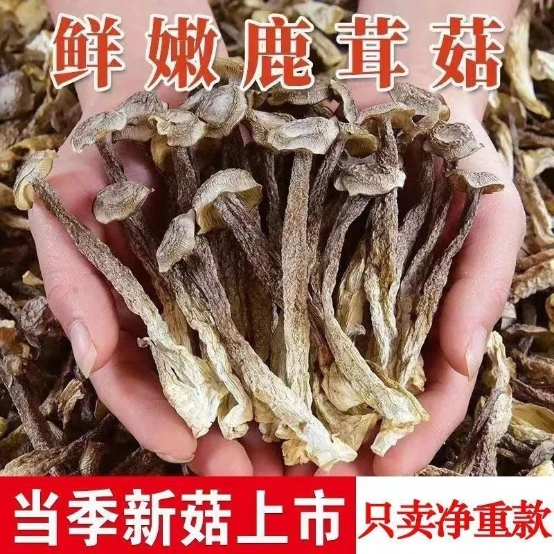 新鲜特产鹿茸菇干货鹿茸菌古田脆脆菇煲汤食材蘑菇干香菇250g