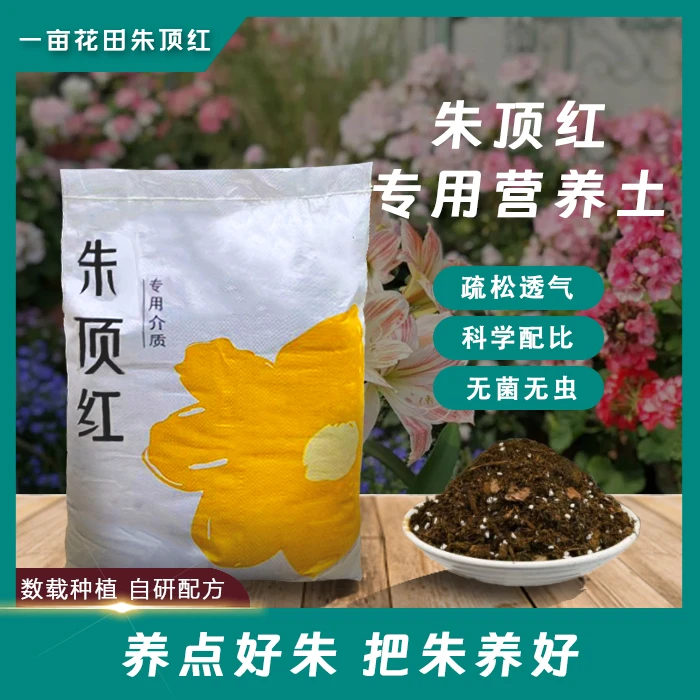 【一亩花田】朱顶红专用营养土（1单包邮）