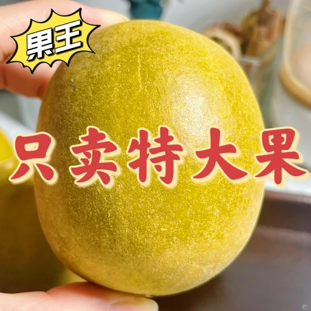 广西正宗低温脱水罗汉果精选特大果特产泡水严选饱满大果