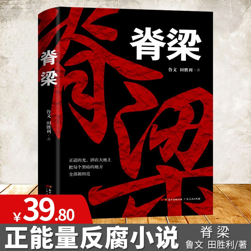 正版 脊梁追问国家行动小说 鲁文田胜利著国之脊梁正能量反腐小说