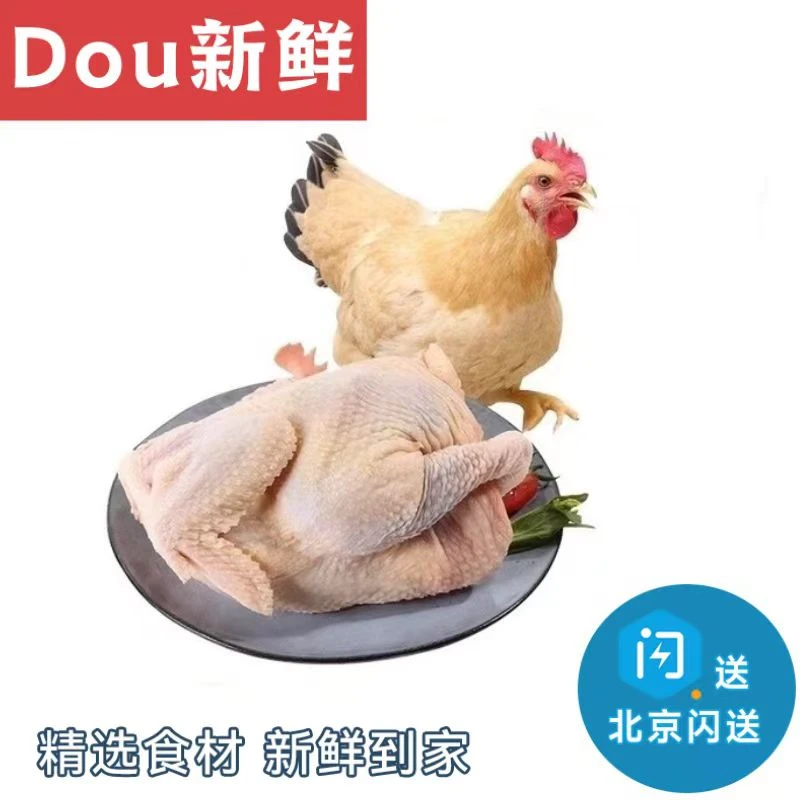 2.7-3斤 北京闪送 广东温氏清远鸡 黄油鸡 新鲜 冷冻 鸡肉香嫩皮薄
