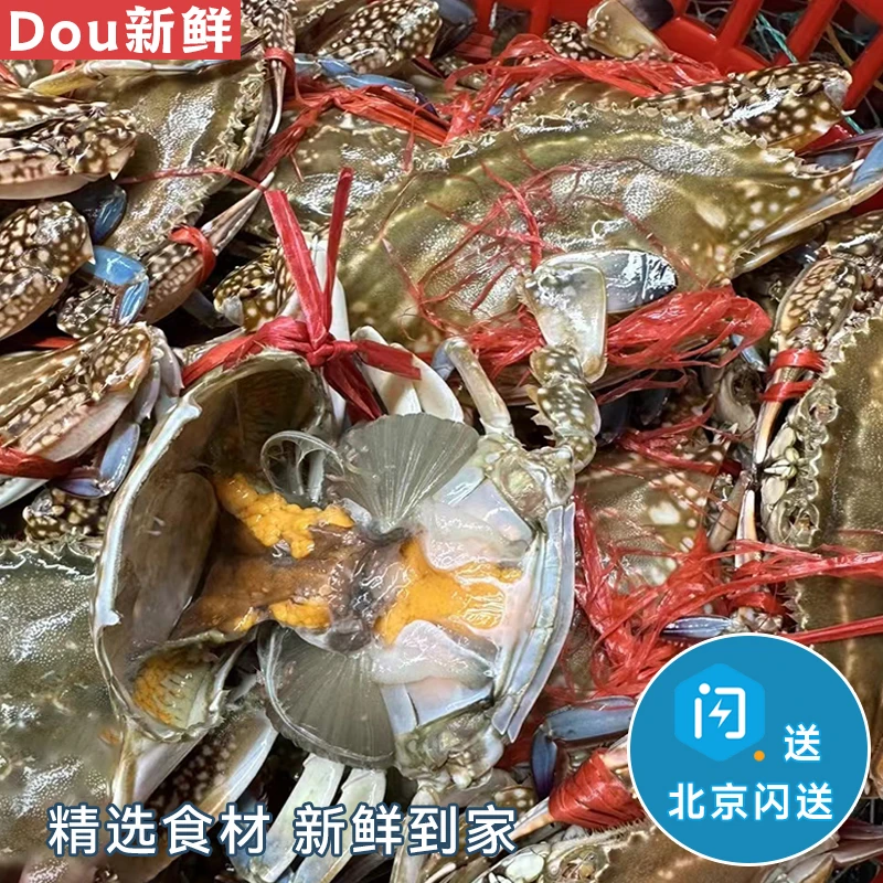 【推荐】梭子蟹 2斤  有黄母蟹   海蟹鲜活   螃蟹  飞蟹 海鲜水产梭子蟹同城