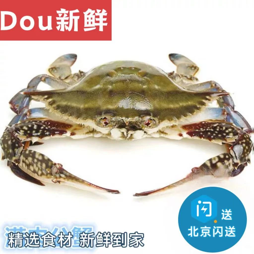 【推荐】5-7两/只 满肉 公梭子蟹 螃蟹 海蟹 海鲜水产 飞蟹