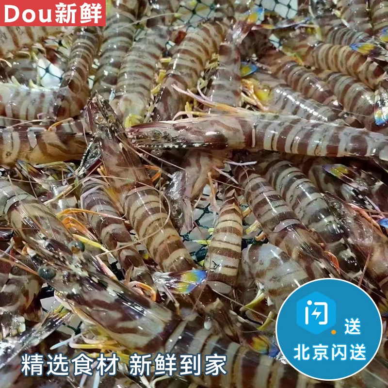 鲜活海鲜基围虾 250g 新鲜海鲜 鲜活明虾九节虾竹节虾
