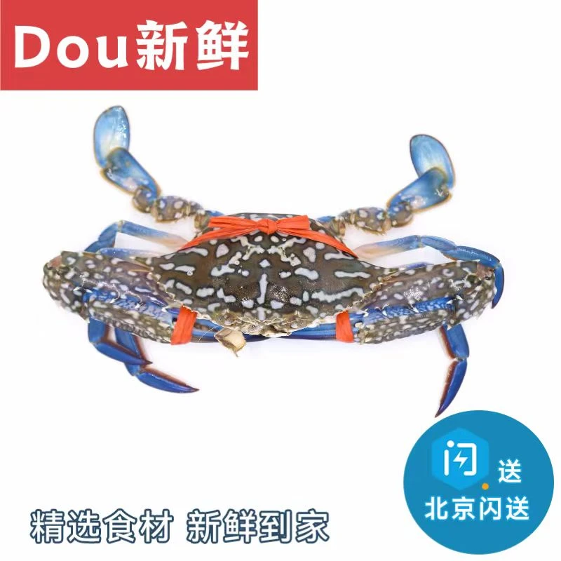 2斤  兰花蟹 海南特产 水产海鲜 满肉公蟹 海蟹