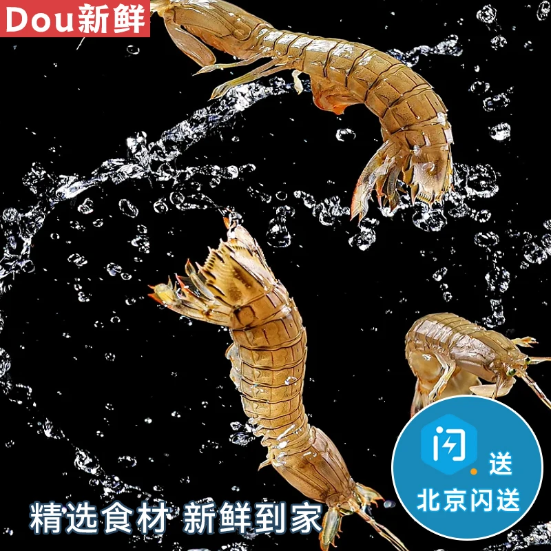2斤本地野生海捕 鲜活皮皮虾 全母 【1斤15-18条】