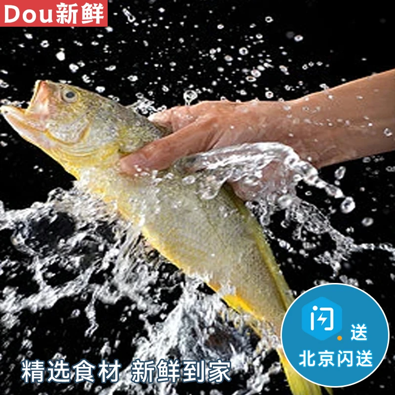 【推荐】到手5条 纯鲜黄花鱼 买3条送2条 1条1-1.1斤