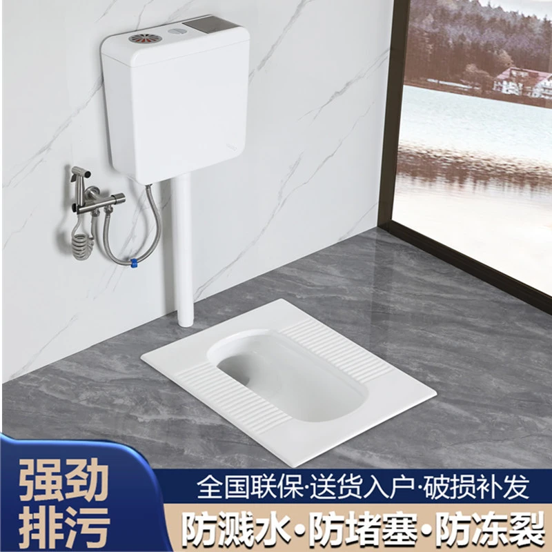 磊陶卫浴新款防溅水蹲便器蹲坑家用大便器水箱卫浴卫生间防臭便池