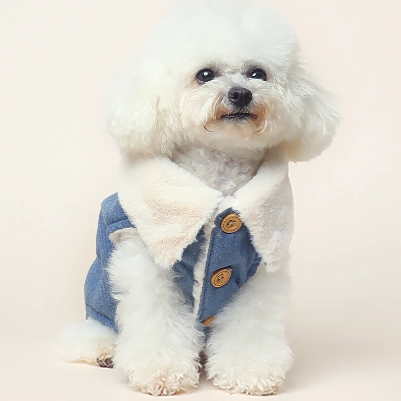狗狗衣服秋冬款冬天保暖小型犬泰迪比熊冬季马甲网红猫咪宠物用品