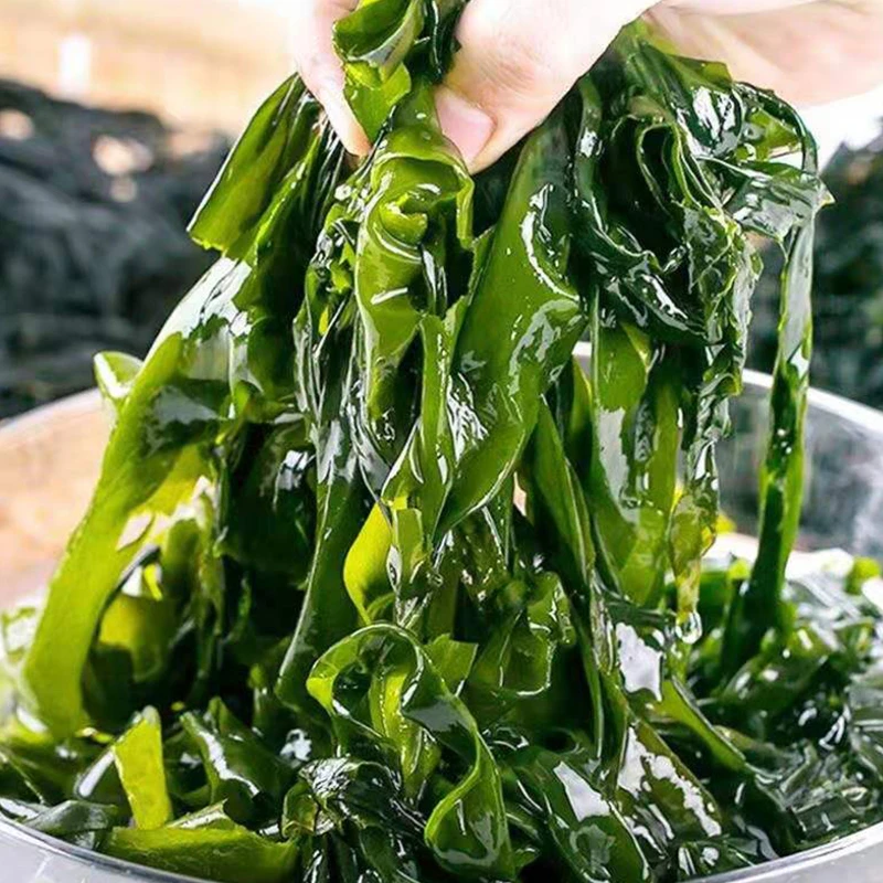 【新人福利】大连当季盐渍裙带菜 碱性海藻整箱高泡发率 海白菜1斤