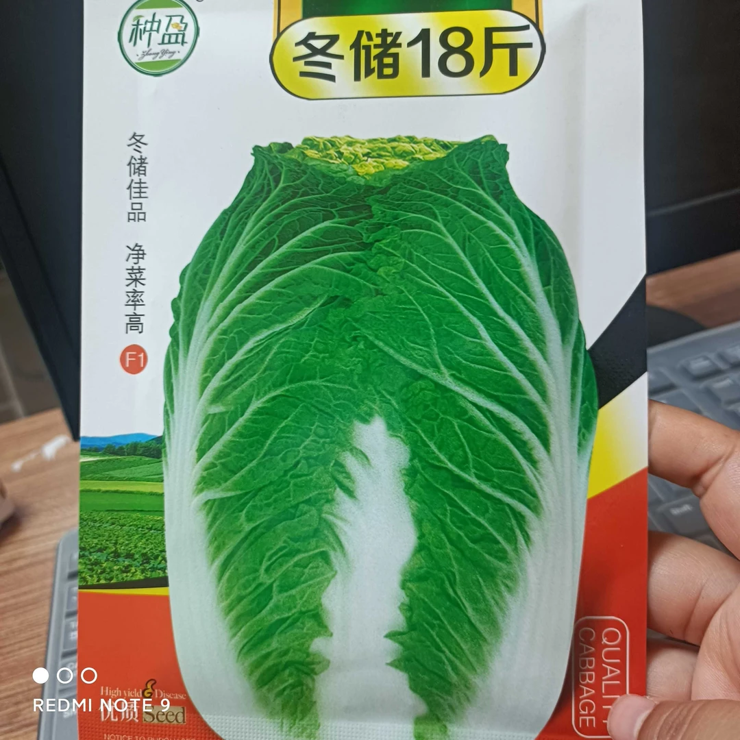 冬储18斤白菜种子20克