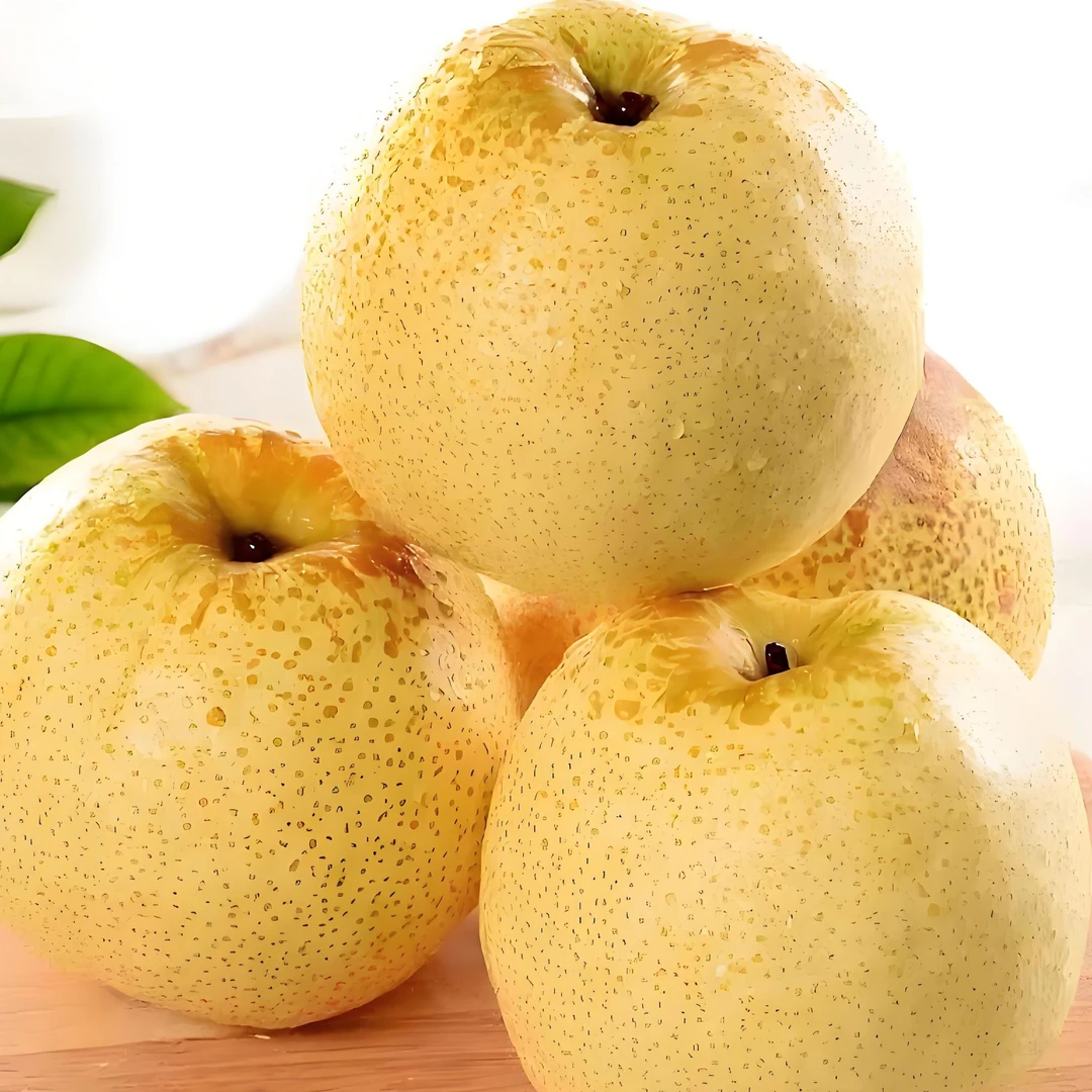 普通装果王.正宗砀山百年老树酥梨 产地直发.极兔快递