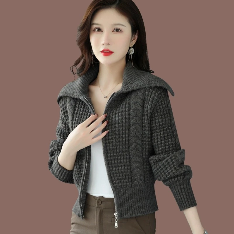 女士高腰拉链毛衣外套短款春秋2025年新款外搭大翻领加厚针织开衫