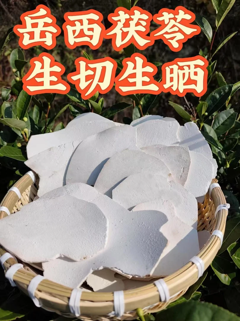 大别山岳西高山老树茯苓  生切生晒  白茯苓  无硫磺