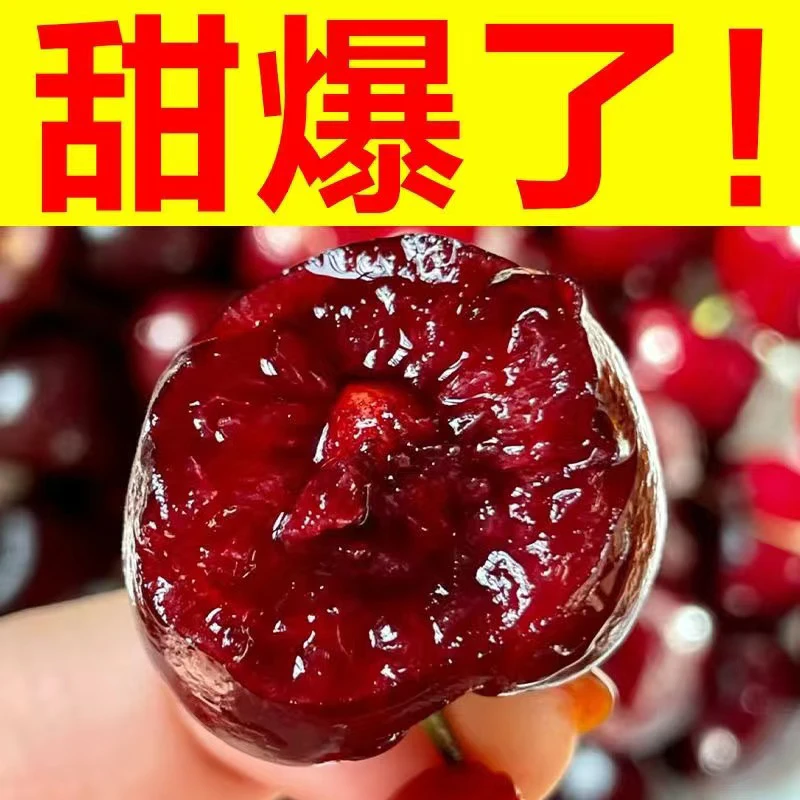 【顺丰冷链大美早】甘肃天水樱桃车厘子现摘现发新鲜应季水果酒红色