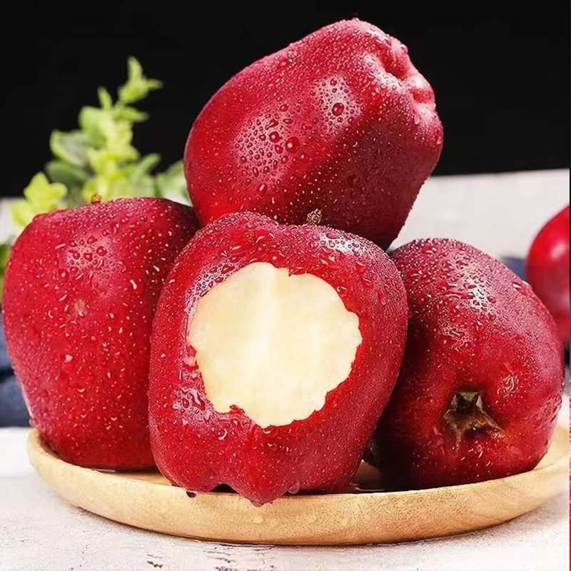 【极兔发货包赔】甘肃天水花牛苹果当季水果孕妇宝宝可食用新鲜苹果