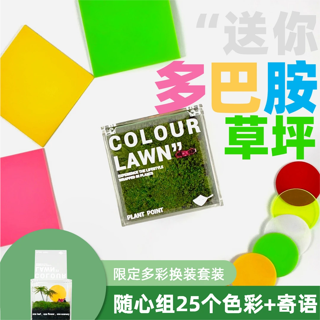 植物碎片多巴胺换装私人草坪苔藓微景观桌面创意迷你绿植生日定制