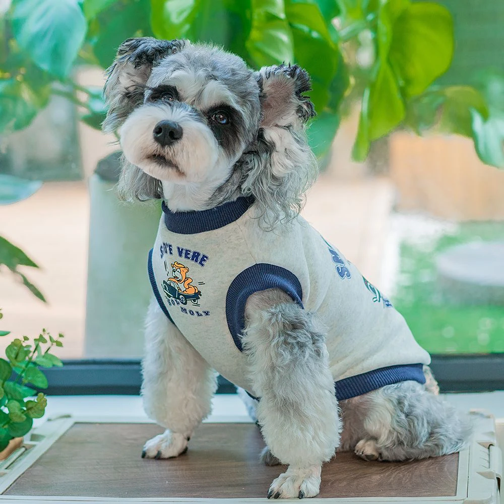 狗狗秋冬款印花背心可爱购物比熊泰迪保暖超值性价比个性时尚