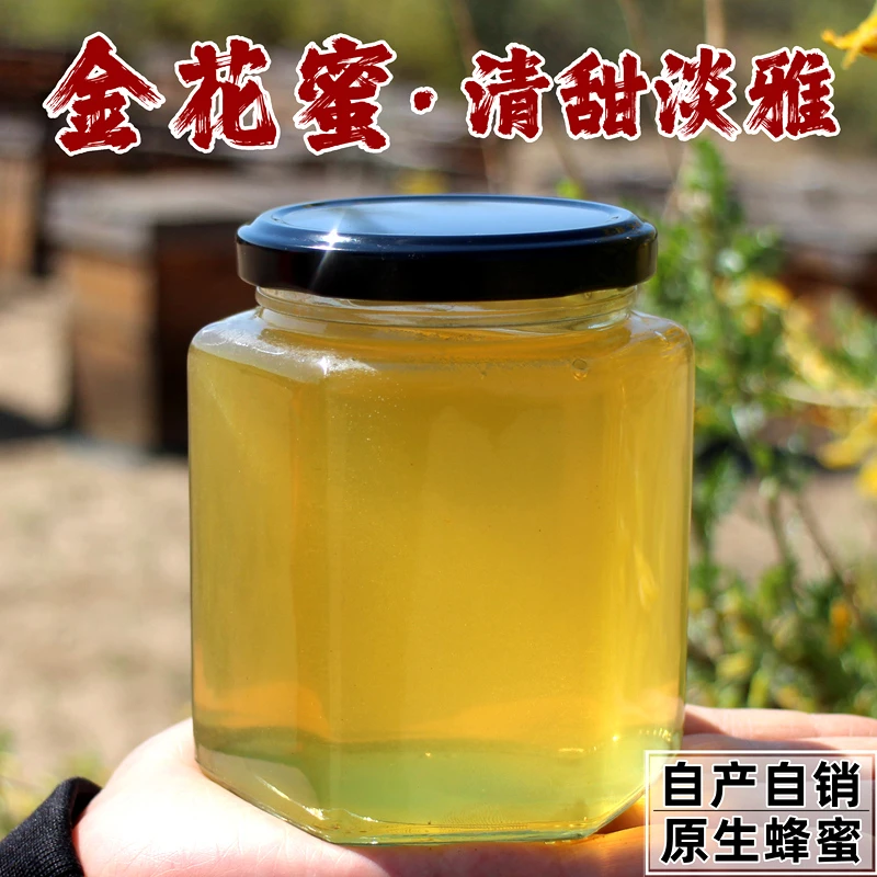 (小清新)金雀花蜂蜜内蒙古独有原生蜂蜜自产自销野生植物蜜源