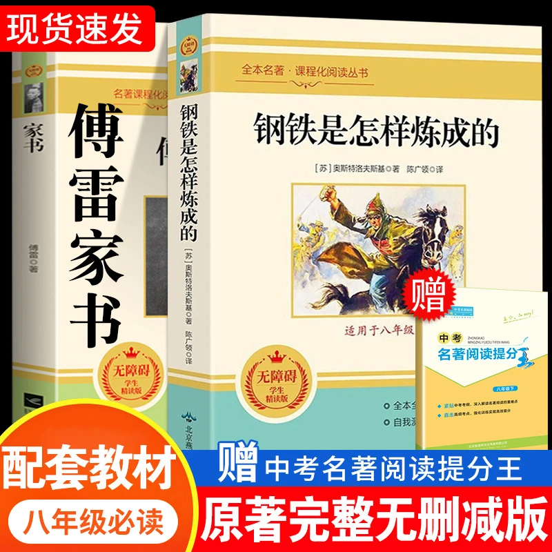 初中必读名著钢铁是怎样炼成/傅雷家书