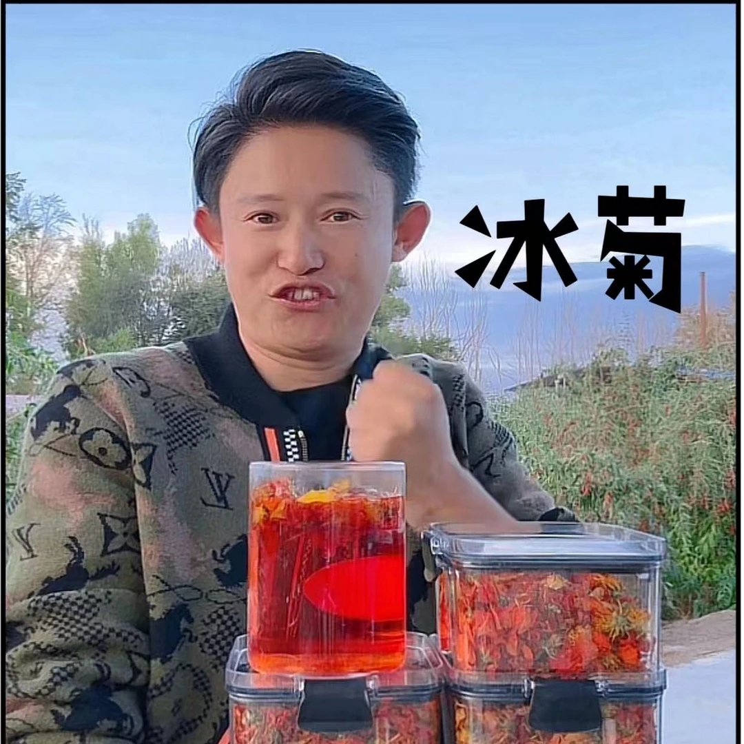 【小马】高海拔 雪山冰菊