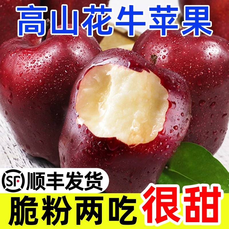 （顺丰发货）甘肃天水花牛苹果自然现摘脆粉新鲜多汁当季水果8斤