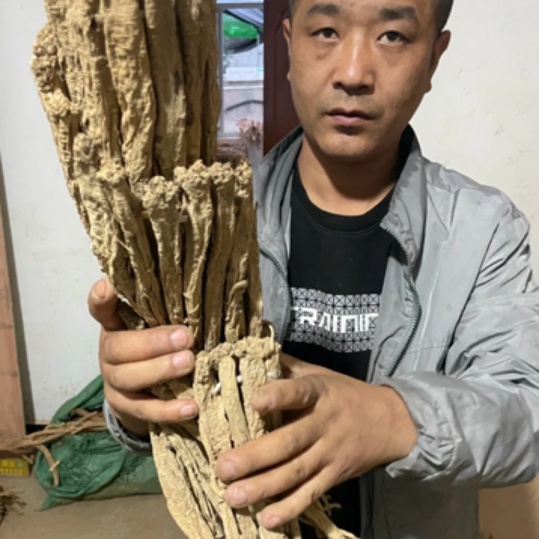 甘肃陇南党参十五年以上非种植大纹党参