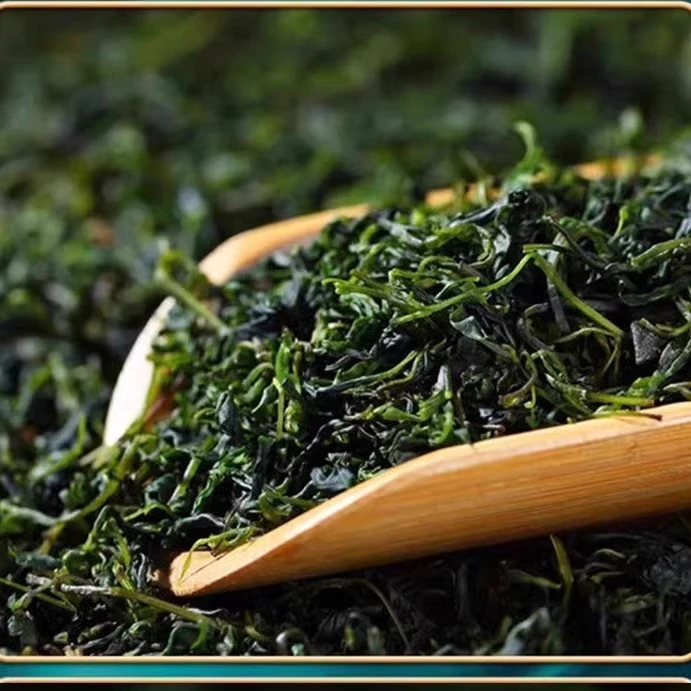 2025年新茶叶小叶苦丁茶春茶头采嫩芽鲜嫩甘甜冲泡绿茶500g口粮茶