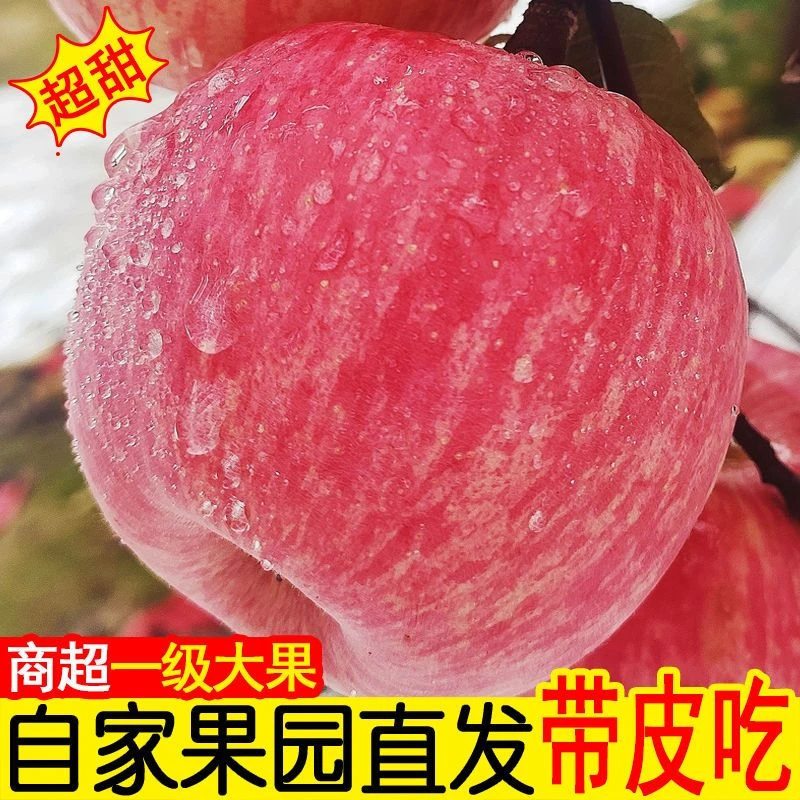现摘苹果新鲜水果当季山西吉县红富士2/5/10斤脆甜多汁现摘现发