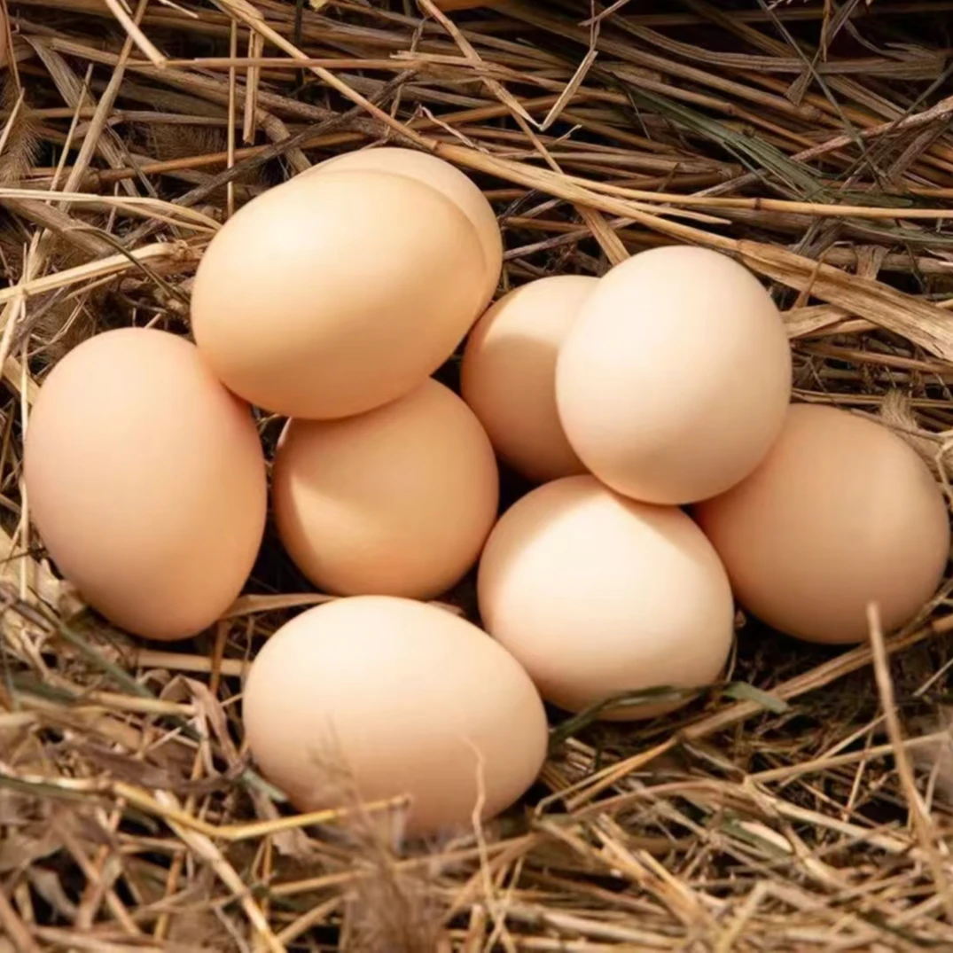 果园散养新鲜土鸡蛋20枚装