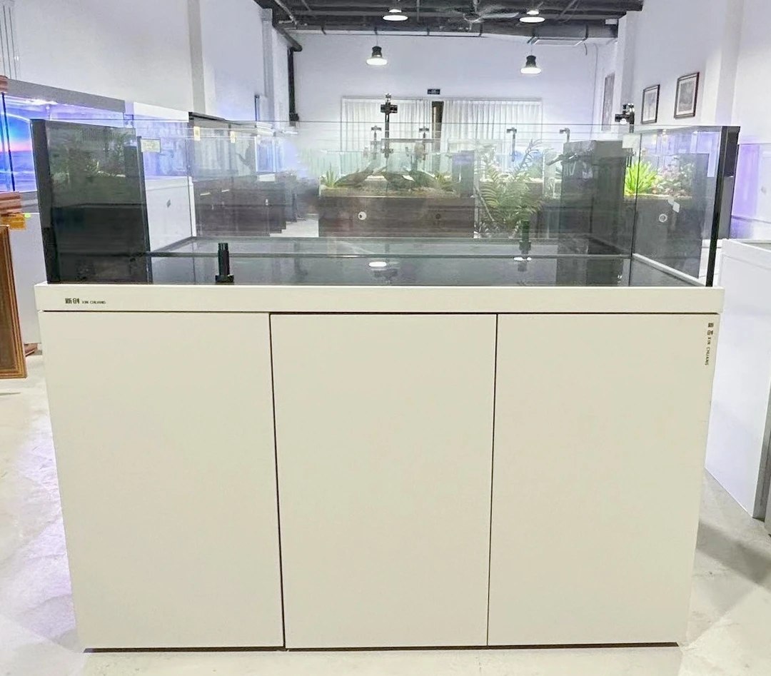 飞飞 扬帆极窄溪流缸左侧底滤生态缸 谍影右侧溢流溪流缸底滤鱼