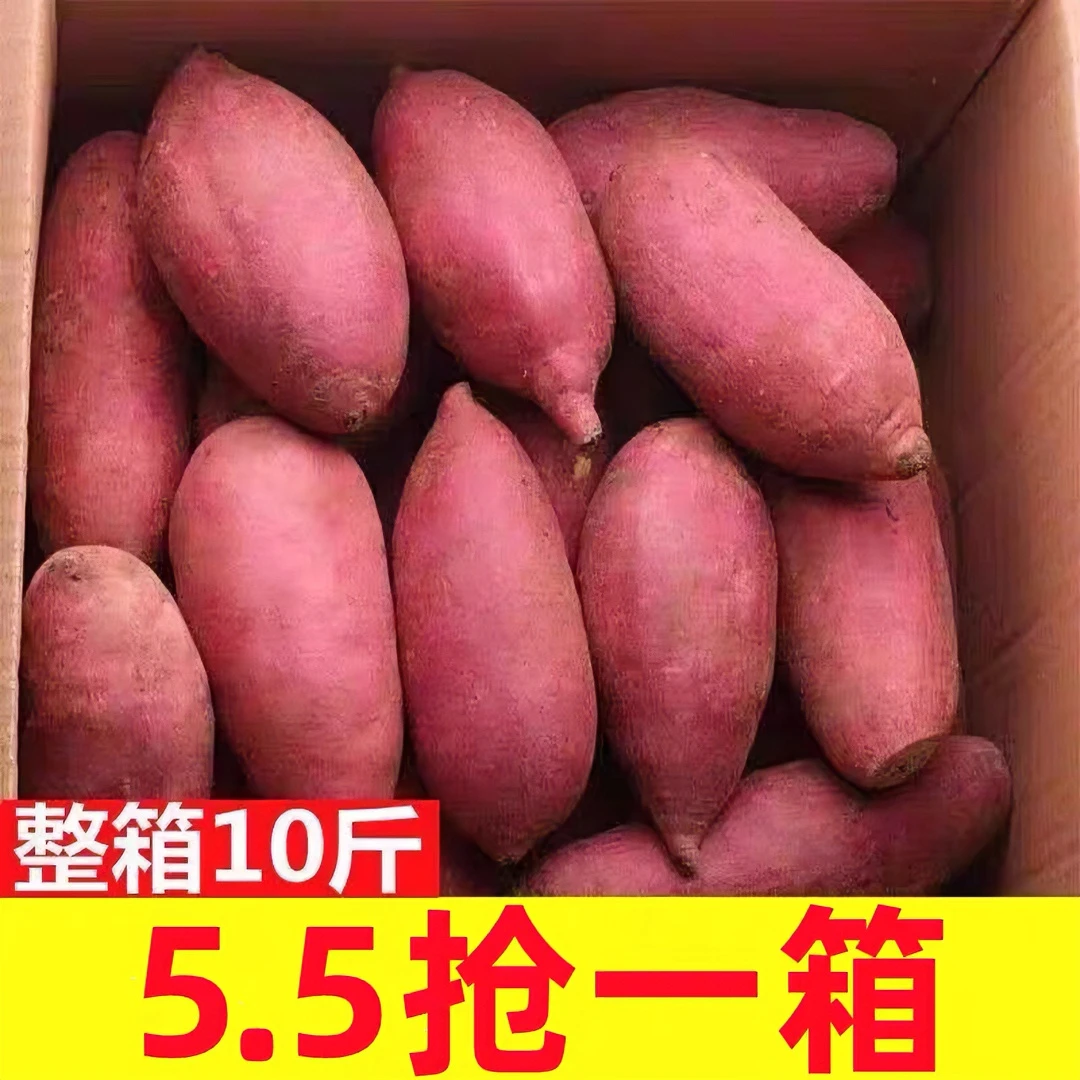 【半价抢】超甜沙地蜜薯1/10斤新鲜西瓜红薯板栗薯地瓜番薯烟薯蔬甜