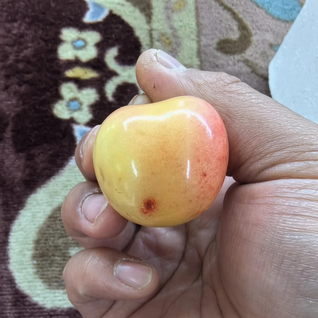 微瑕疵硬佳红大樱桃特价福利空运2斤