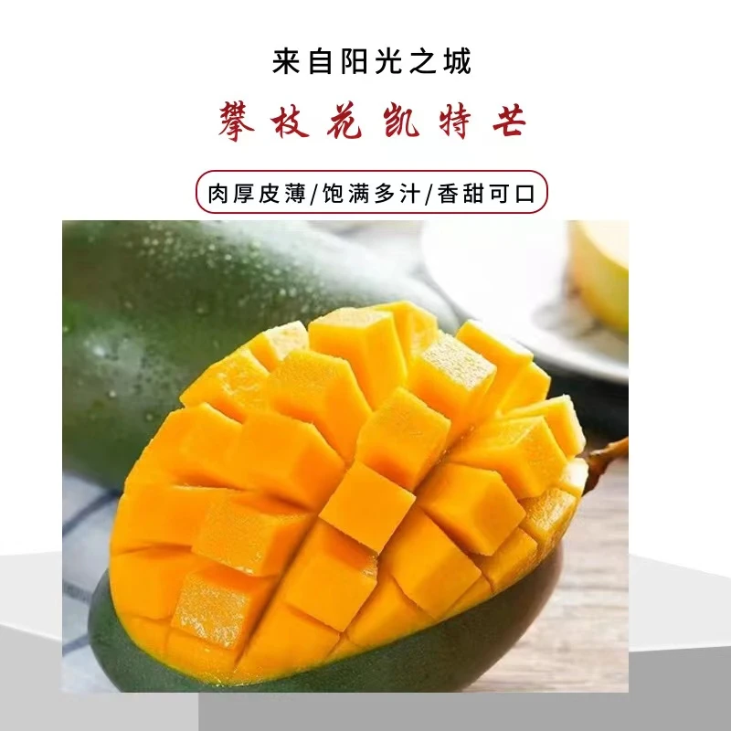 四川攀枝花凯特芒应季水果现摘现发