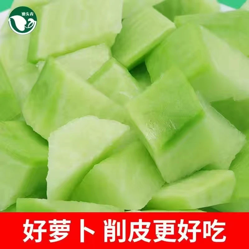 【老品种】嫩头青萝卜沙地萝卜新鲜现拔青萝卜可生吃的水果萝卜包邮