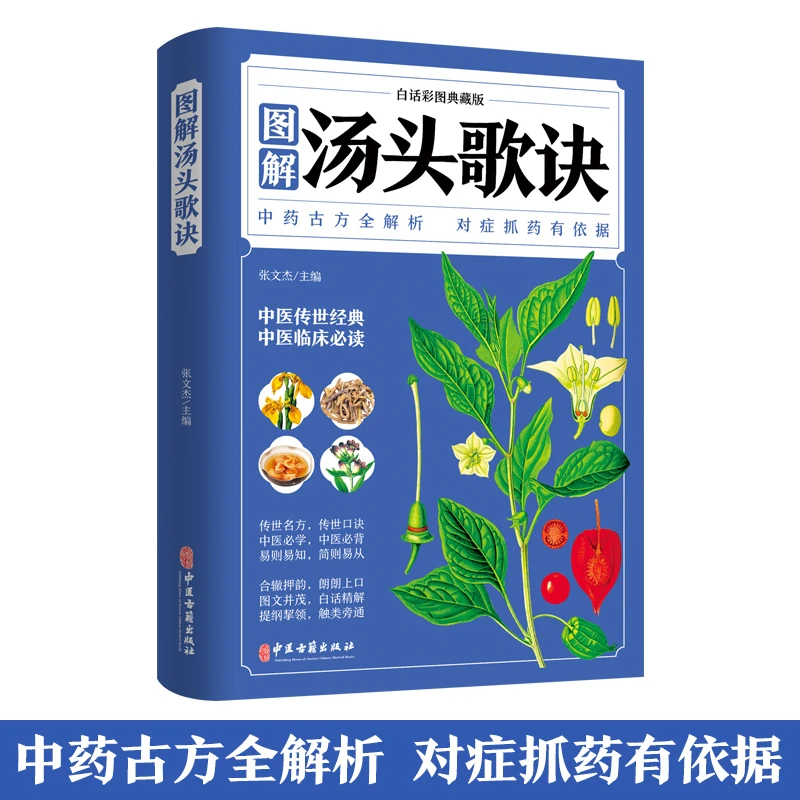 汤头歌诀中药古方全解析对症下药有依据中医养生