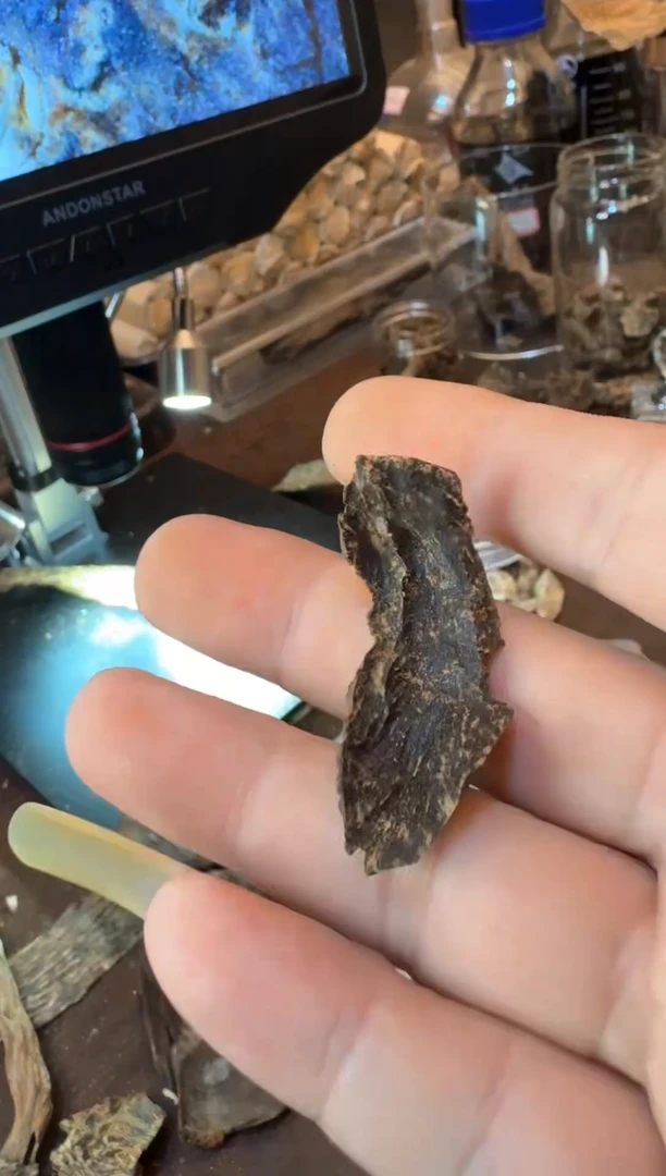 【闪购商品】【方香之喜】海南沉水料1.3克