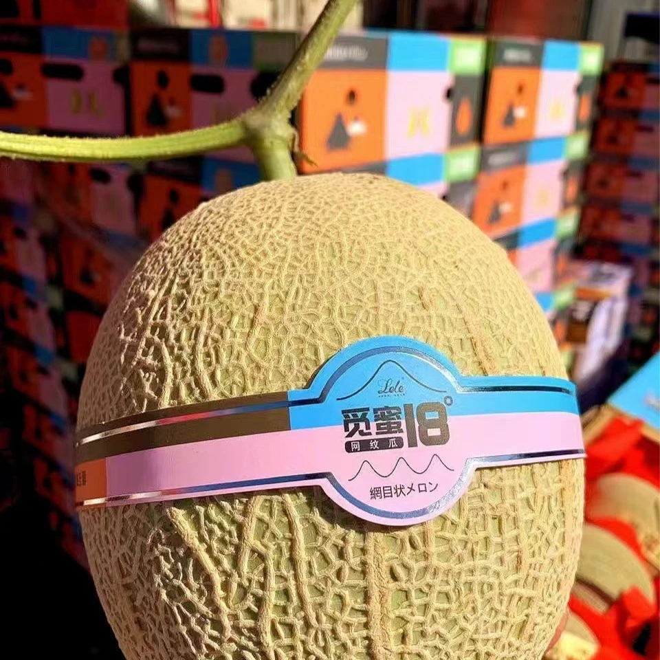 觅蜜18°网纹瓜1个